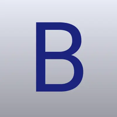 Baltic Group International Far East, крюинговое агентство, лого-визитка