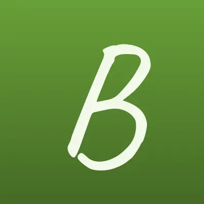 Bosscars, интернет-магазин по продаже автозапчастей, лого-визитка