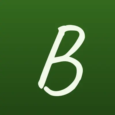 Бумеранг, магазин, лого-визитка