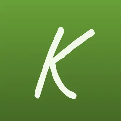 Киберкасса, сеть платежных терминалов, лого-визитка