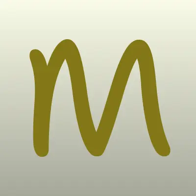 Магазин одежды для мужчин, ИП Галимов Н.Ш., лого-визитка