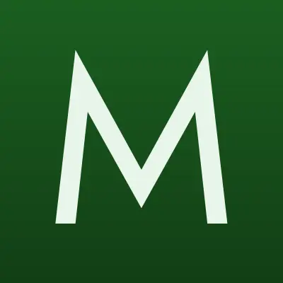 Мастер сервис, автоцентр, лого-визитка