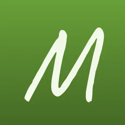 Мастер шин, шиномонтажная мастерская, лого-визитка