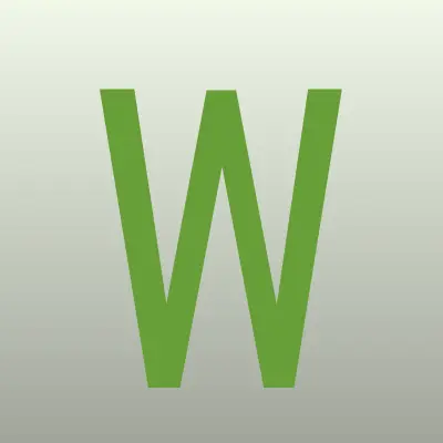WildBerries, интернет-магазин одежды и обуви, лого-визитка